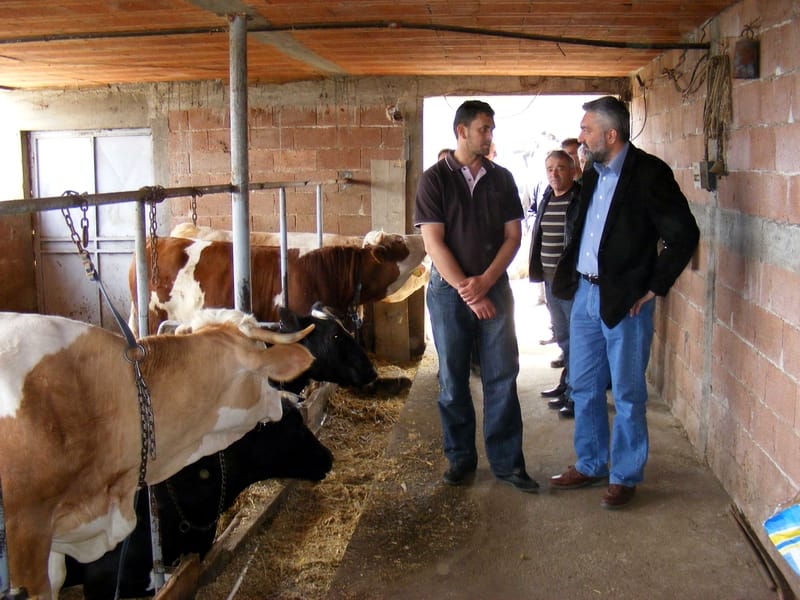 Dušan Petrović u Kuršumliji 12 D PETROVIC OBILAZAK FARME KRAVA KURSUMLIJA 2