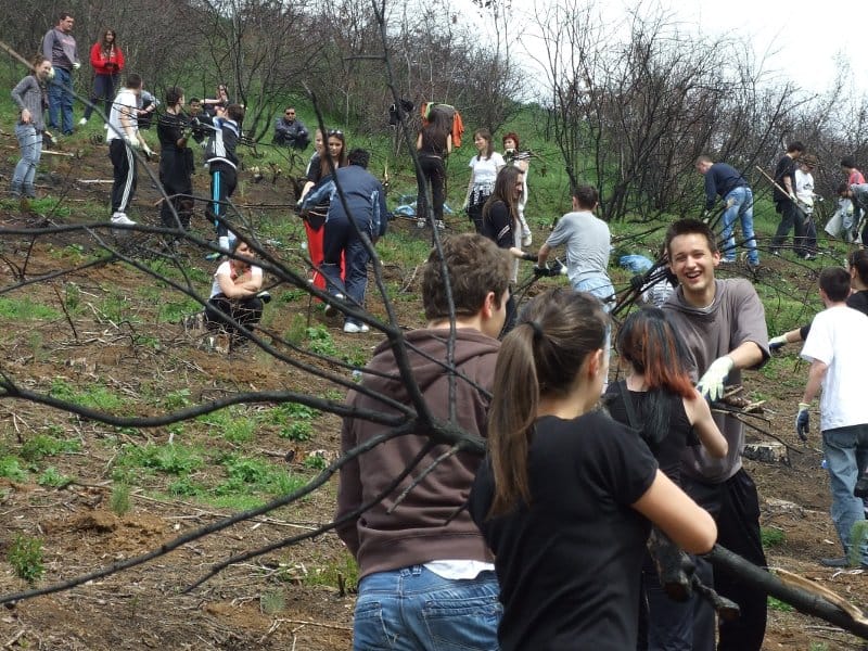 prokuplje mladi posumljavaju