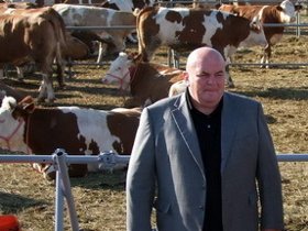 js palma poklon junice