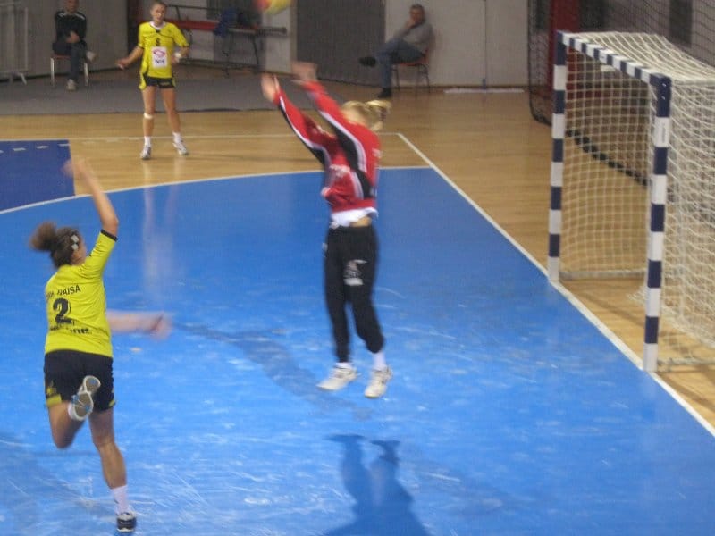 Sanja premovic naisa