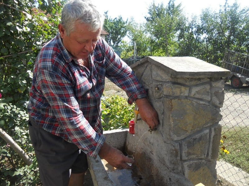 prokuplje vucko toci rakiju