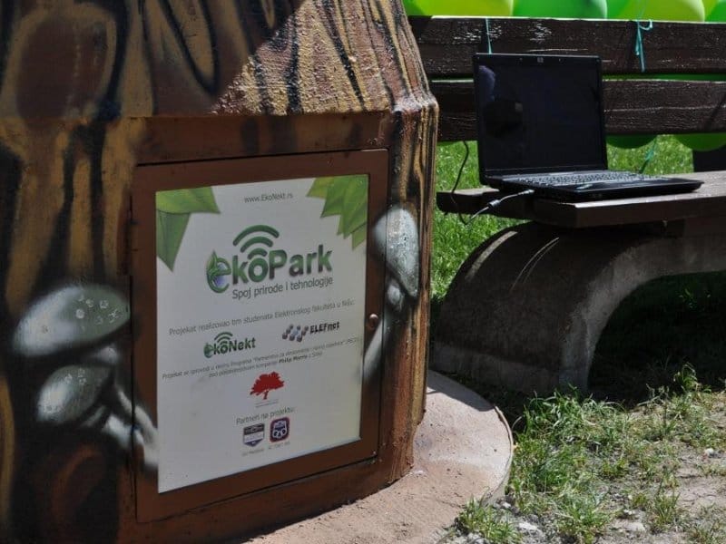 "Eko park" u Čairu 1 drvo