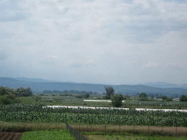 Leskovac poljoprivreda mala