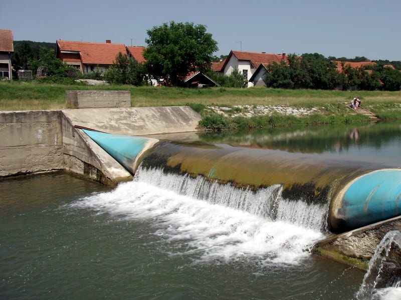 Brana Svrljiski Timok ribolov