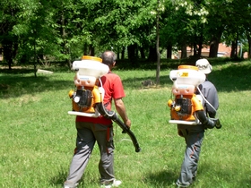 akcija suzbijanja krpelja big