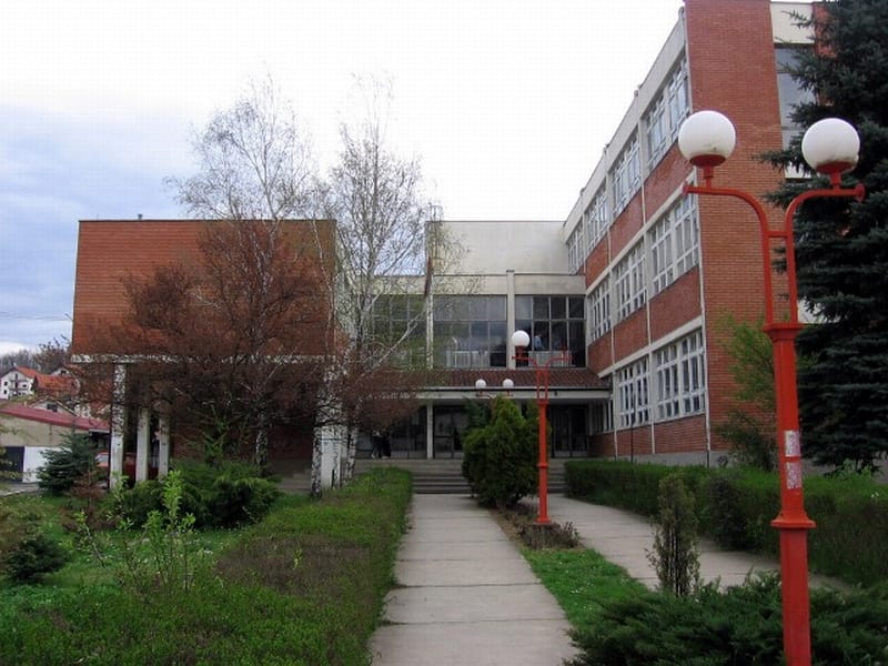 gimnazija u vladicinom hanu