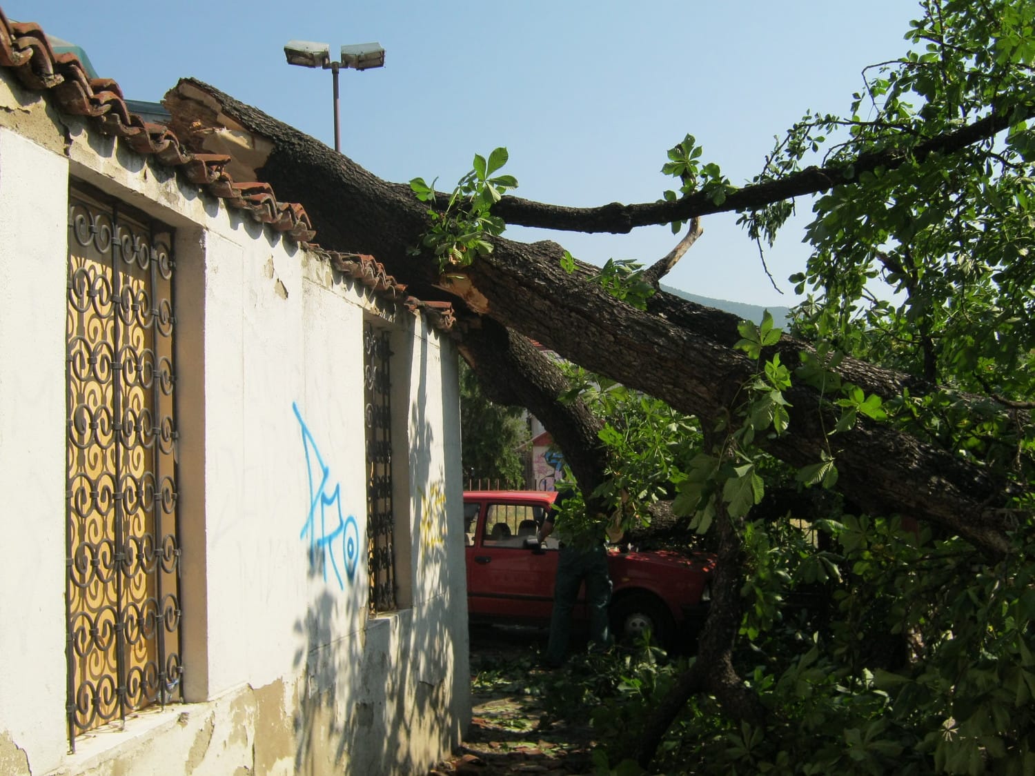 Vranje: vetar nosio krovove i drveće (foto) 1 Picture 007