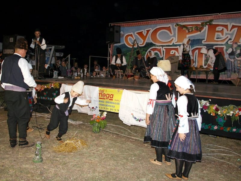 susreti sela svrljig 2012