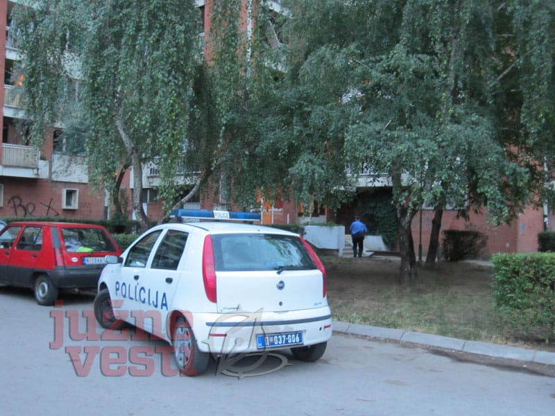 policija kola ubistvo bulevar