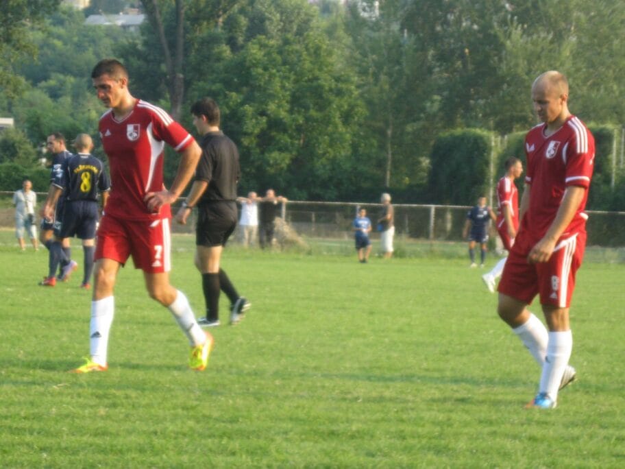 milan jovanovic i vladan binic