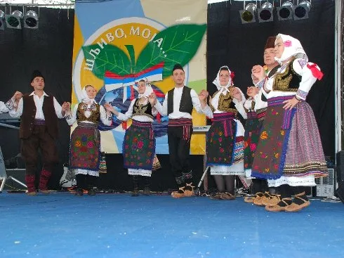 Dani šljive u Blacu od 23. avgusta 14 blace dani sljive