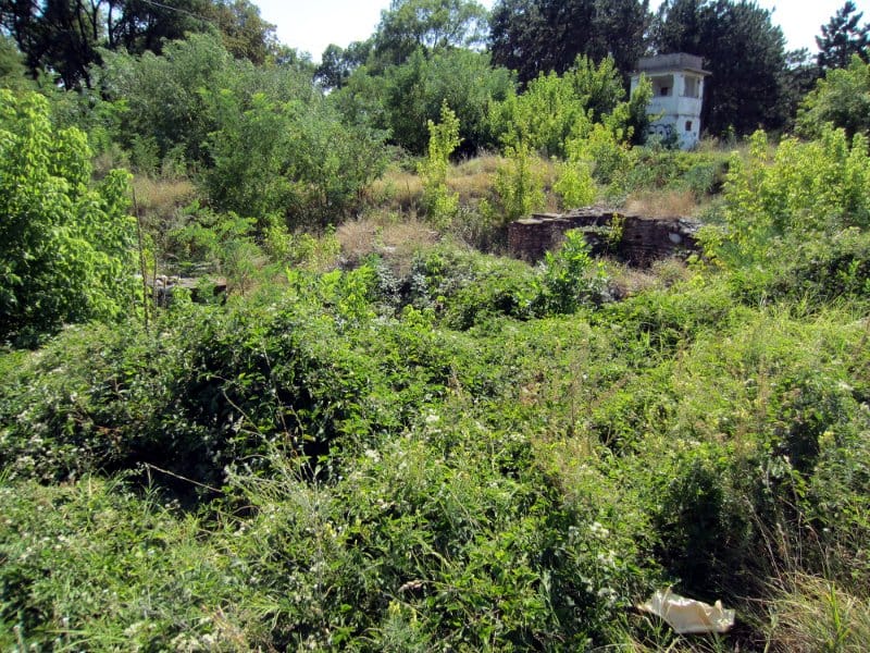 konstantinova palata