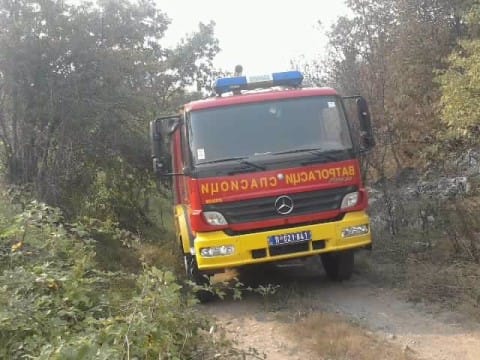 Resize P240812 16 181000054