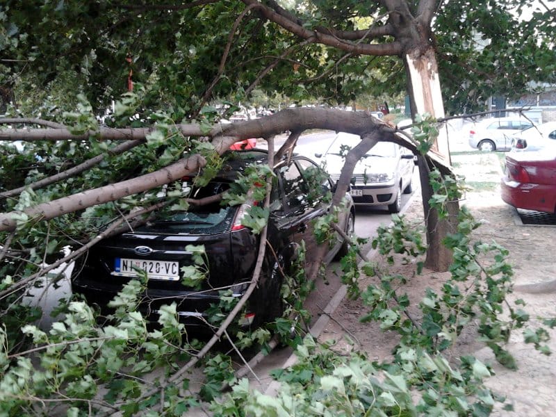 Grana pala na automobil 8 grana ford