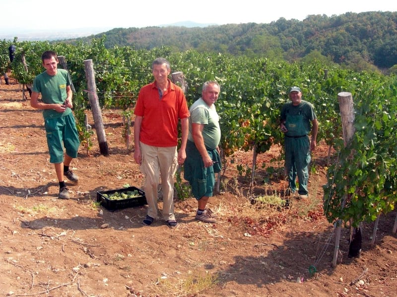 PROKUPLJE pocela berba foto ljubisa mitic