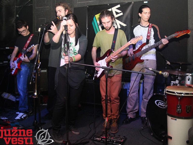 ZAA i Greenfingersi 2