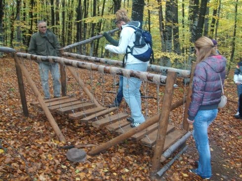besna kobila pesacka staza