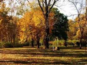 Niš: Šetalište za pse na proleće 1 park cair