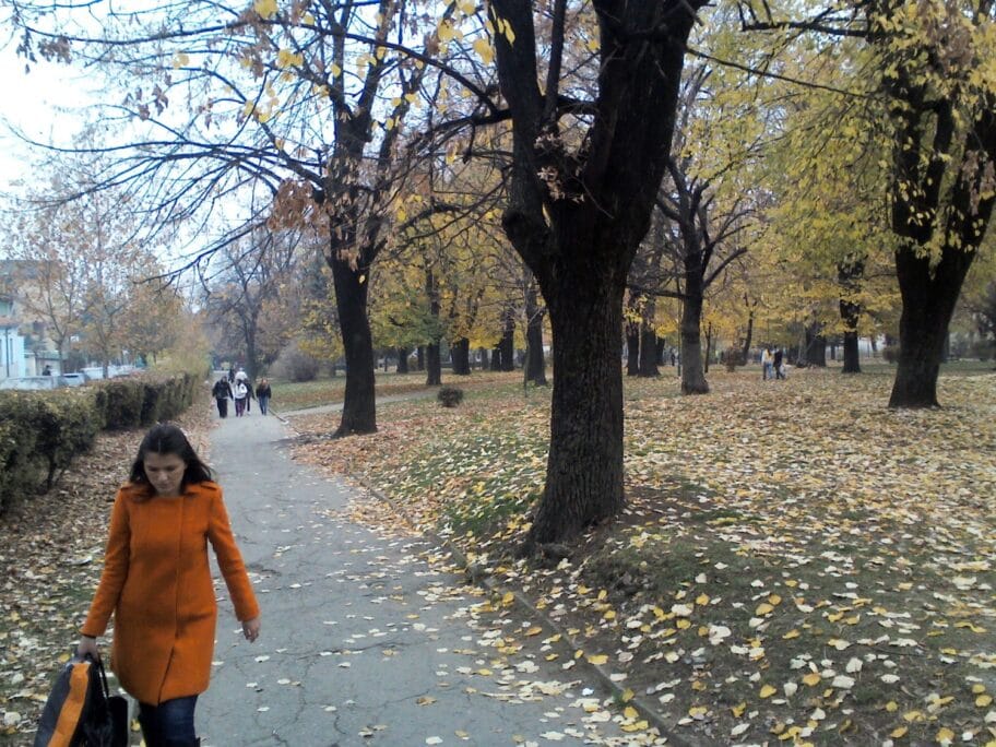 Policija ne iznosi detalje o pucnjavi u parku 20 Gradski park