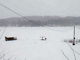 490x370 vlasina zimi