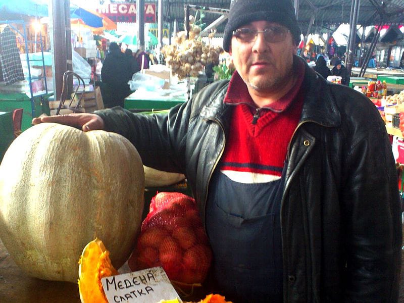 Pecenka za Ginisa Nis JUZNE VESTI