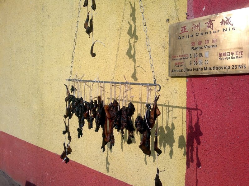 meso ispred Azija centra