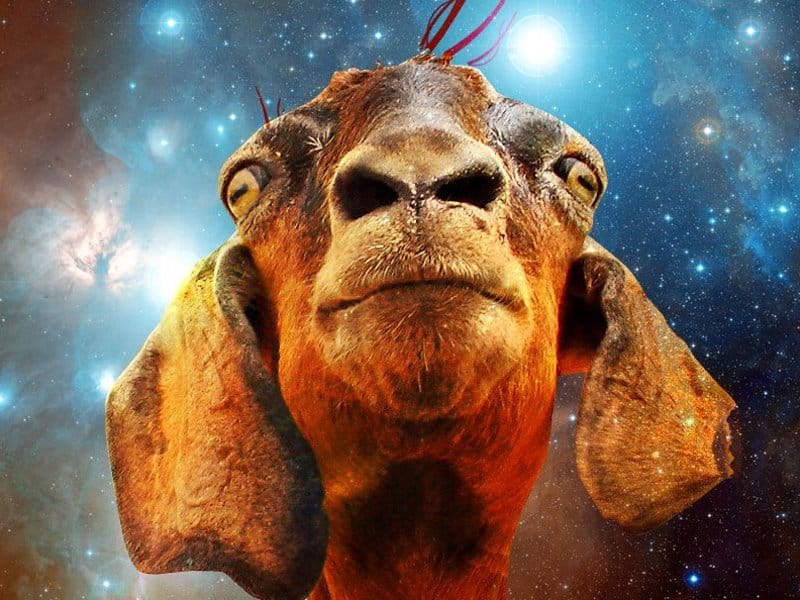 "Duboka ilegala" u klubu "Feedback" 10 Untitled