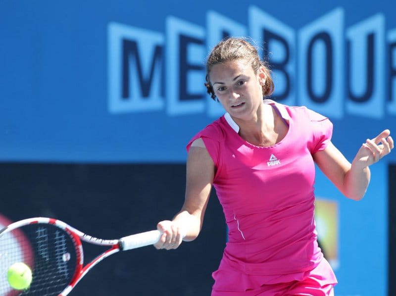 Vesna Dolonc igra u Nišu? 1 vesna dolonc