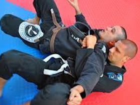 brazilska dziu dzica