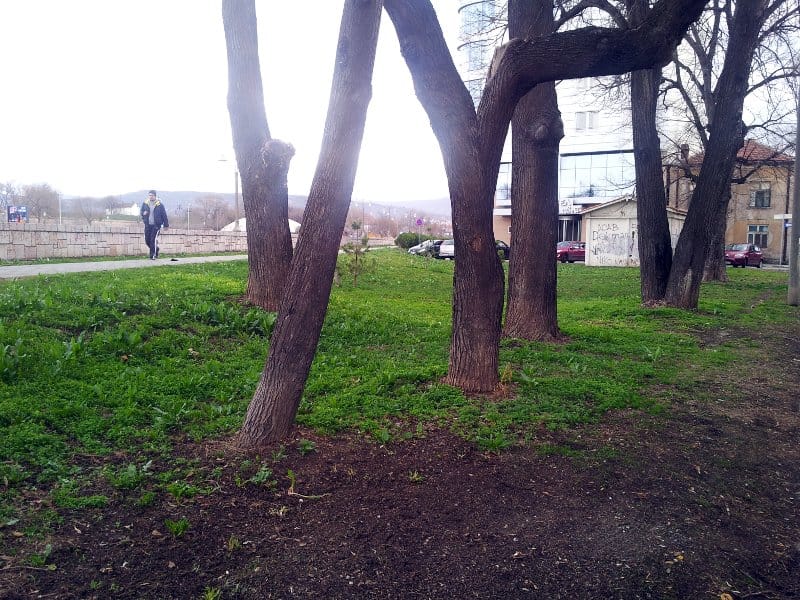 Uklonjeno đubre kod Oficirskog doma 12 oficirski dom ocisceno