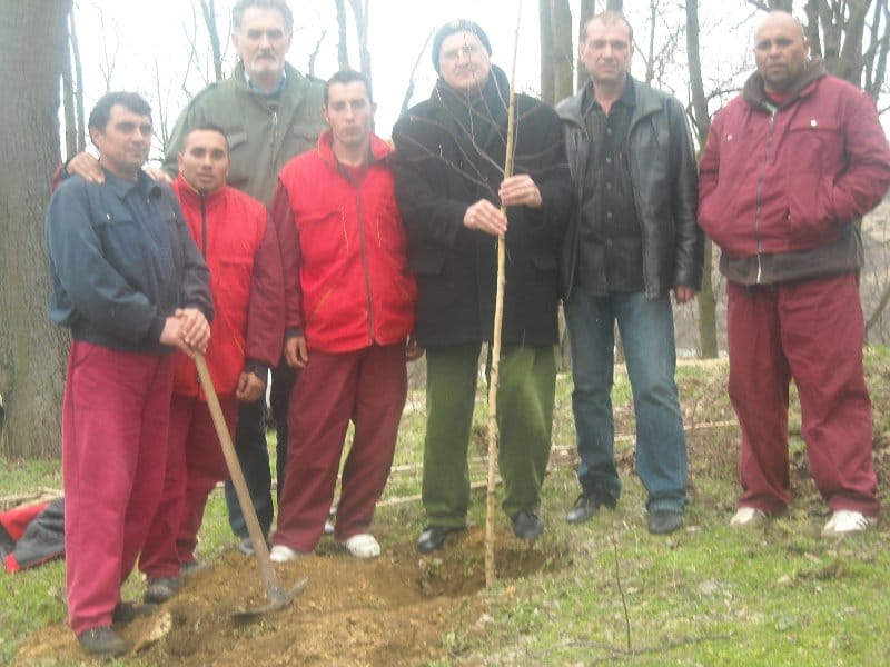 prokuplje sadjenje breza