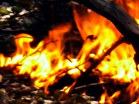 POZAR juzne vesti Ilustracija