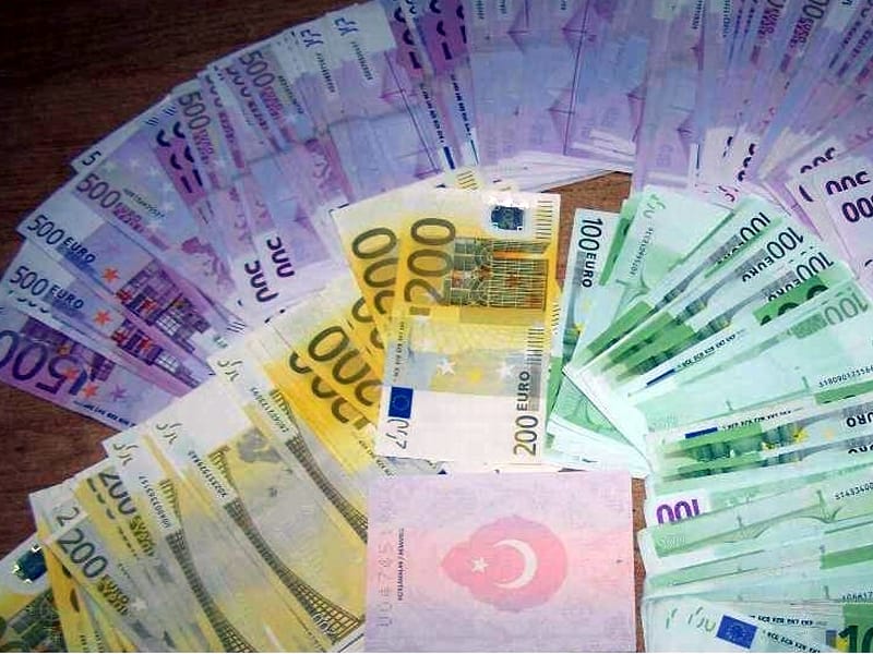 U donjem vešu sakrili 148.000 evra 6 Gradina 148 000 evra zaplena