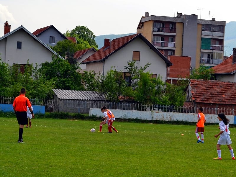 Liga cicibana Svrljig