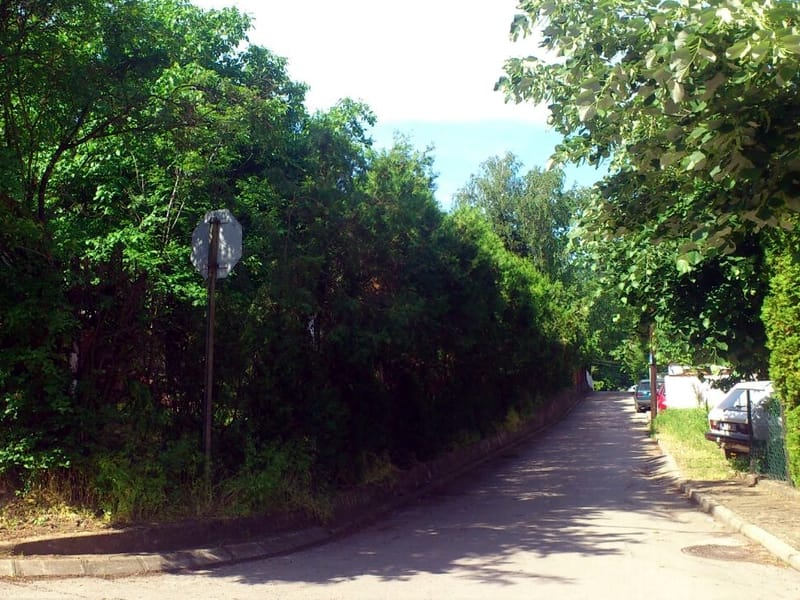 image 1368177979052 V