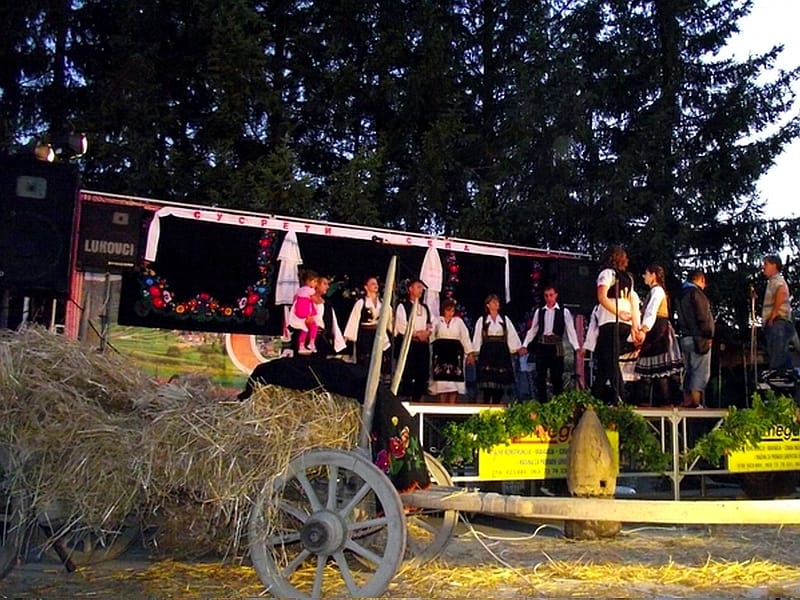 Očuvanje tradicije svrljiških sela 14 DSCF2178