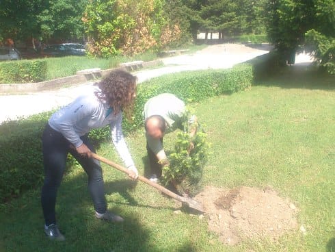 Dvoriste Elektronskog