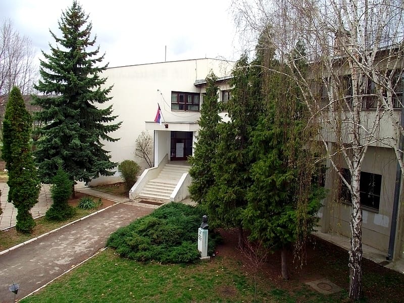 Svrljig: Dan OŠ "Dobrila Stambolić" 1 os dobstamb