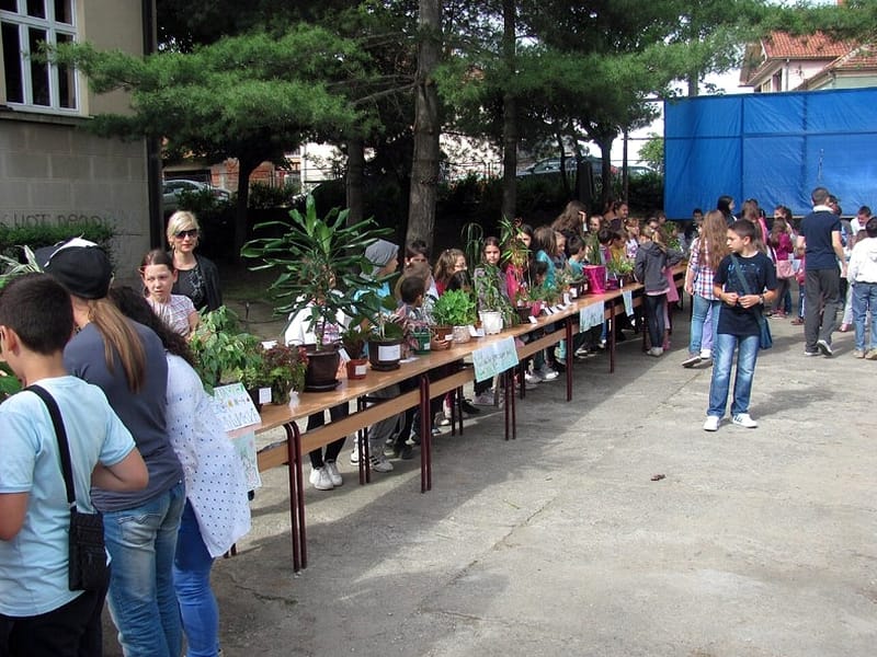 Ekološka izložba prokupačkih đaka 6 os 9 oktobar pk