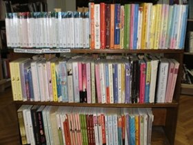 Kraće radno vreme Biblioteke 1 Untitled