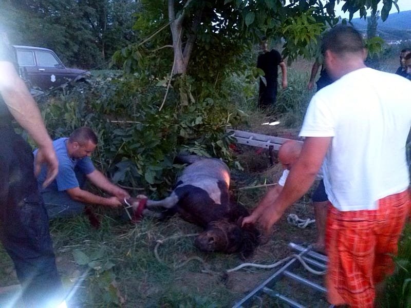 PROKUPLJE poni nakon sto je iyvadjen iy bunara