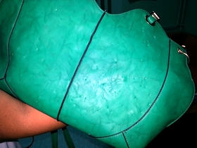 PROKUPLJE vidljivi tragovi zuba na torbi