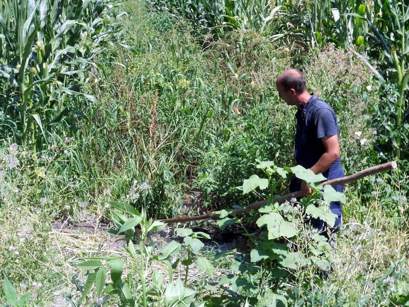Kanalizacija ugrožava žitelje Garića 3 otpusivanje kanalizacije