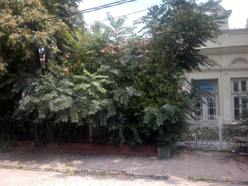 Počinje rekonstrukcija Oficirskog doma 7 oficirski avgust 2013