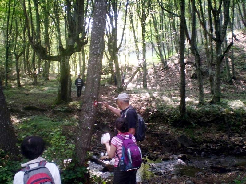 1001297 608676835833574 1862821791 n