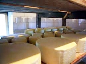 mlekara stara planina proizvodi