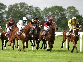 Delegacija Hrvatskog konjičkog saveza u poseti Nišu 1 konji
