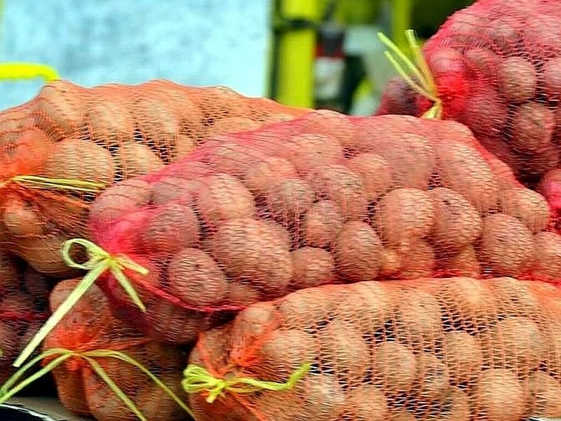 pijac ilustracija KOSTA