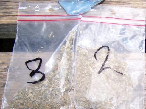 Diler uhapšen na Bulevaru 6 kesice marihuane