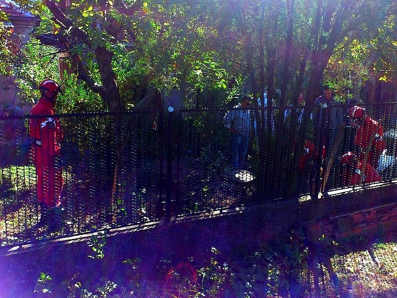 vade raskomadana tela